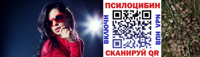 купить наркоту  Покров  Галлюциногенные грибы прущие грибы 